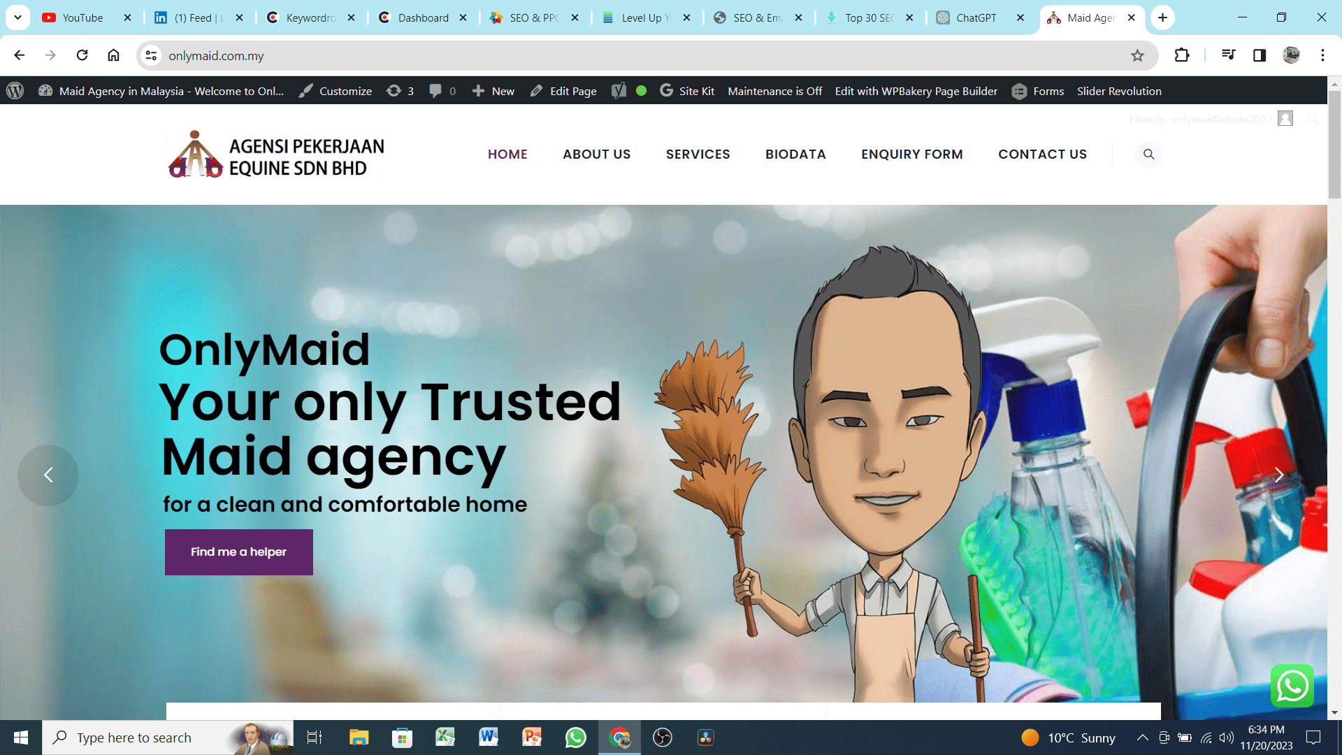 Onlymaid agency client reviews